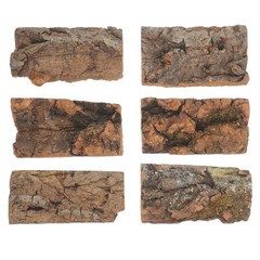 6pcs Reptile Substrate Natural Cork Bark Terrarium Background – Turtle Tank