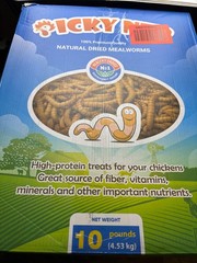 Dried Mealworms 100% Non-Gmo 10 Lb – Mealworms for Birds, Chickens, Ducks – Perf