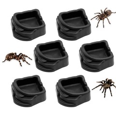 6 PCS Spider Micro Water Bowls 1.65×0.59 Inch Resin Dish Tarantula Enclosure