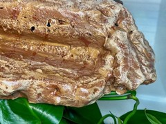 Magnetic Rock Ledges Made For Terrariums And Cages
