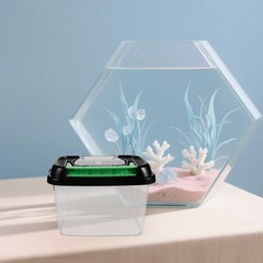 Outdoor Pet Breeding Box Turtle Plastic Reptile Cage Snake Container