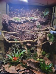 Galápagos 05346 Mossy Cave Hide 4″ Green