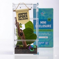 EctoTherm Jumping Spider Enclosure – Complete Acrylic Small, Transparent