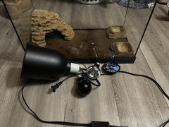 10gallon ReptileCage with light 2lightbulbs,the mat,the home,food and water bowl