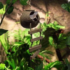 Coconut Shell Gecko Hideout with Ladder Natural Reptile Hut Cave Habitat Décor