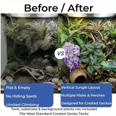 Crested Gecko Tank Decor Kit 5PCS Rainforest Set with Orchid & Plants – Habitat