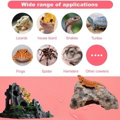 Bearded Dragon Tank Accessories Reptile Tank Accessories Leopard Gecko Tortoi…