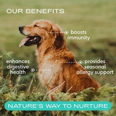 Colostrum for Dogs Bovine Colostrum Powder Dog Allergy Relief, Itchy Skin R…