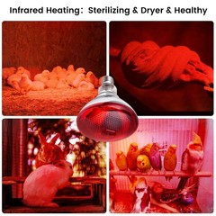 Heat Lamp for Chickens Coop Brooder and Reptile Heat Bulb 150 Watt Infrared R…