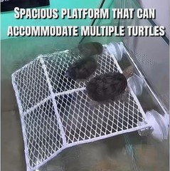 Heavy Duty Metal Turtle Basking Platform 7.87 Inches White Strong Support Design