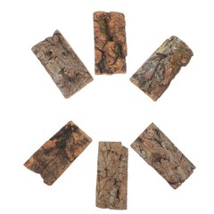6pcs Reptile Substrate Natural Cork Bark Terrarium Background – Turtle Tank