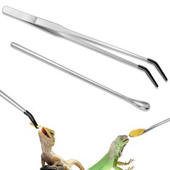 2 Pcs Stainless Steel Reptile Feeding Tong, Feeding Spoon for Bearded Dragon …