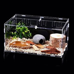 Jumping Spider Terrarium Reptile Tank Habitat Locking Acrylic Box 12x8x6 Insect