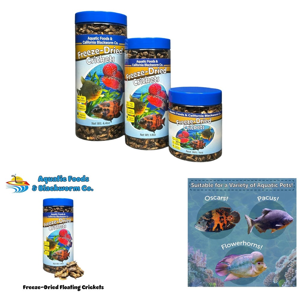 Crickets Freeze Dried for Large Fish Reptiles Turtles Frogs Tortoises Rodents