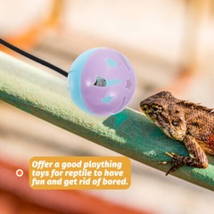 7 Pcs Bearded Dragon Tank Accessories Lizard Toy Ball Chinchilla Toys Reptile