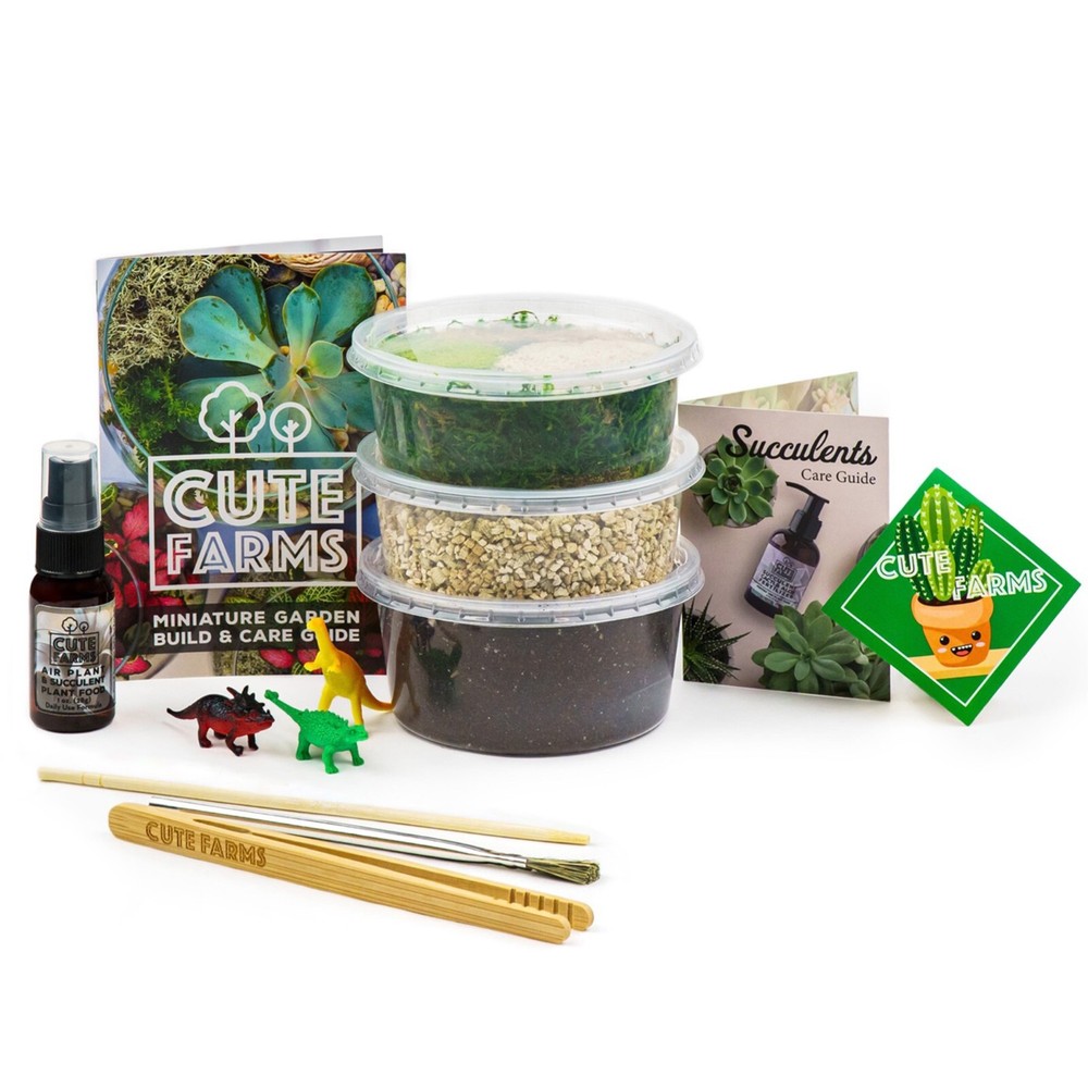 DIY Small Terrarium Kit – Perfect Gift for Plant Lovers