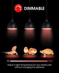 Flaspar 100W Red Heat Lamp Bulbs 2 Pack