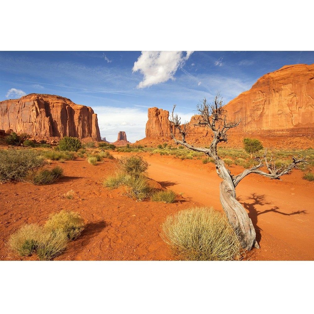 Riivvdise Sandstone Rock Reptile Habitat BG 60×24