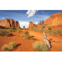 Riivvdise Sandstone Rock Reptile Habitat BG 60×24