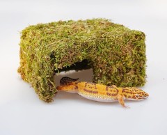 Leopard Gecko Tank Accessories Reptile Moss Hide Cave Adjustable Humid Tank