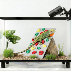 Climbing Wall for Reptiles, Reptile Tank Terrarium Accessories Habitat Decor for