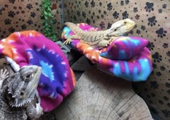 TYE DYE PRINT LARGE ATTACHABLE RESTING BED SET SOFT COVER 4 BEARDED DRAGON