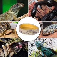 REPTIZOO Reptile Water Bowl Terrarium Water Dish Food Feeding Bowl Large