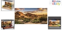 Durable Polyester Terrarium Background 36×18 Inches with Cactus and Sky Design