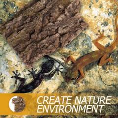 2 Pcs Climbing Bark Reptile Habitat Decor Bearded Dragon Terrarium Decoration