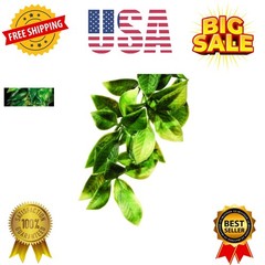 Plastic Terrarium Plant, Small, Mandarin