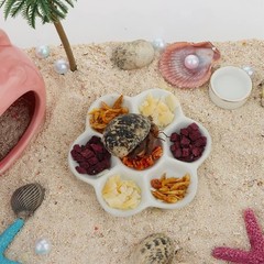 2 Pcs Hermit Crab Ceramic Food Dish, 7 Compartments Anti-turning & White
