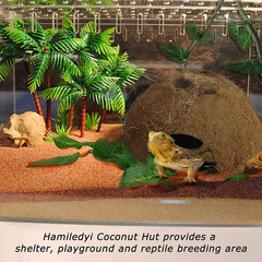 Reptile Hideouts Natural Coconut Shells Hut Hermit Crab Climbing Toys Gecko Hide
