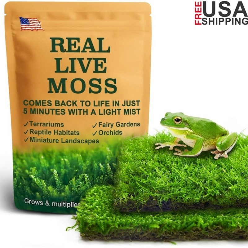 Live Moss Terrariums & Reptiles Humidity Support Natural Growth 2 Pieces New