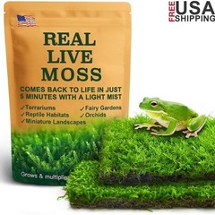 Live Moss Terrariums & Reptiles Humidity Support Natural Growth 2 Pieces New
