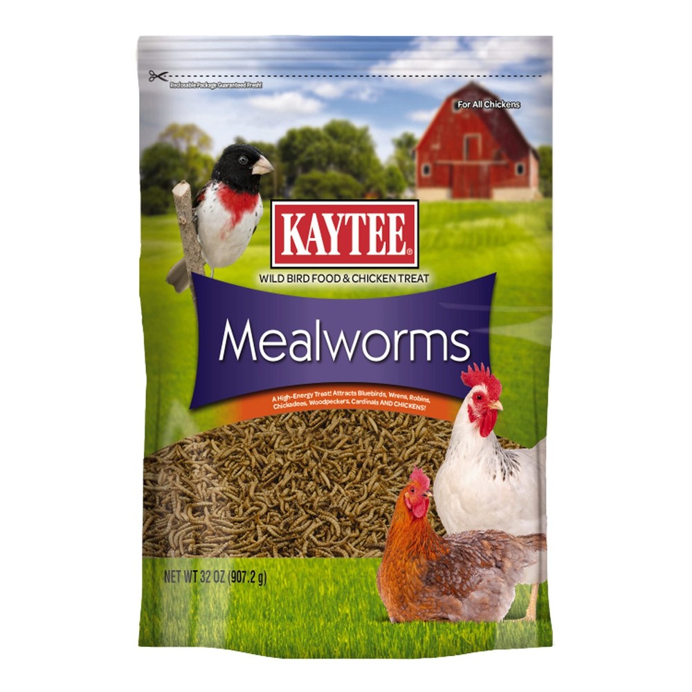 Kaytee Wild Bird Food Mealworms For Bluebirds, Wrens, 2 Pound (Pack of 1)