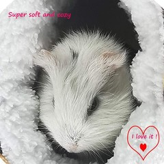 Guinea Pig Accessories Sugar Glider Cage Accessories Hamster Rat Toys Ferret …