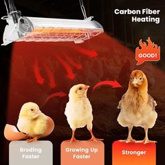 -Certified 400W Heat Lamp for Chickens – Adjustable & Safe for All Livestock