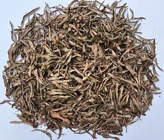 10 Gallons Organic LEAF LITTER Willow Oak Leaves Reptile Terrarium Frog Isopods
