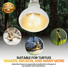 (4-Pack 100W Reptile Heat Lamp Bulbs Daylight Basking Light Bulbs for Reptiles