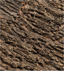 New Age Pet 48″ Cork Background for Mojave Reptile Lounge Habitat