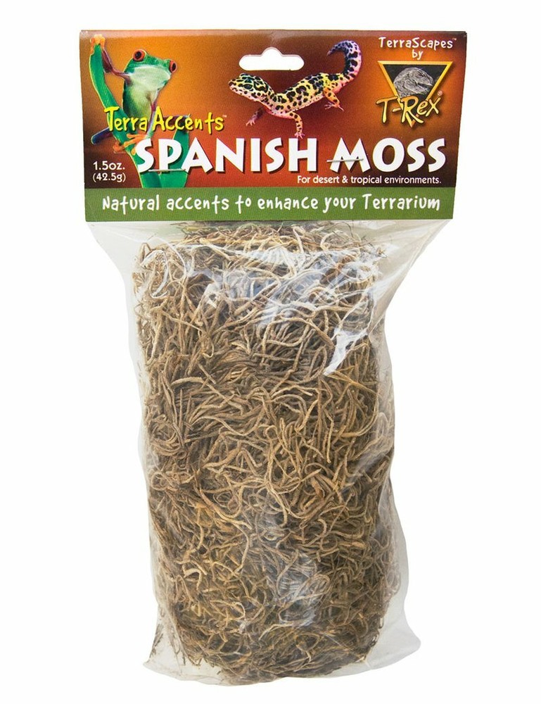 T-Rex Reptile Terrarium Décor – Terra Accents Spanish Moss