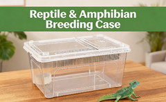 Reptile Feeding Box Animal Habitat Cage with Cover Terrarium Turtle Transport