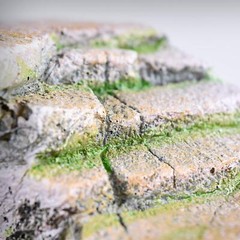 (REP183) Reptology Shale Scape Step Ledge & Cave Hideout – Decorative Resin f…