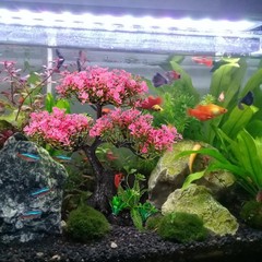 Aquarium Decor Artificial Plants Tree Set: 11.4 Inch Plastic Plants for 10-50…