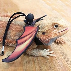 Bearded Dragon Leashes and Harness Soft Leather Detachable Reptile Lizard Wing