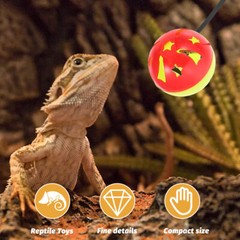 7 Pcs Bearded Dragon Tank Accessories Lizard Toy Ball Chinchilla Toys Reptile