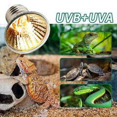 4pcs 50W UVA UVB Reptile Basking Light, Turtle, Amphibian Tanks, Terrariums