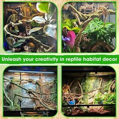 10FT Reptile Vines for Climbing Bendable Branch for Reptile Natural Moss Rope