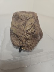 NEW Exo Terra Gecko Cave for Reptiles / Amphibians Reptile Hideout Medium