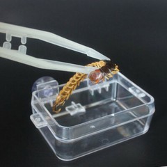 10pcs Reptile Feeding Non Slip Tweezers Clamp Pliers Plastic Feeder Clip Pet